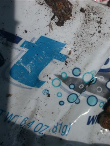 trash alley art 010 by duane locke