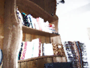 image of interior without violin by sean brijbasi